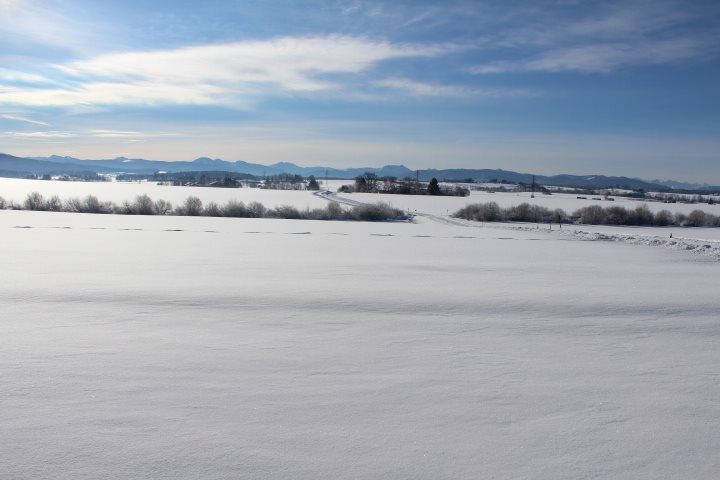 Blick Richtung Thann Iris.jpg