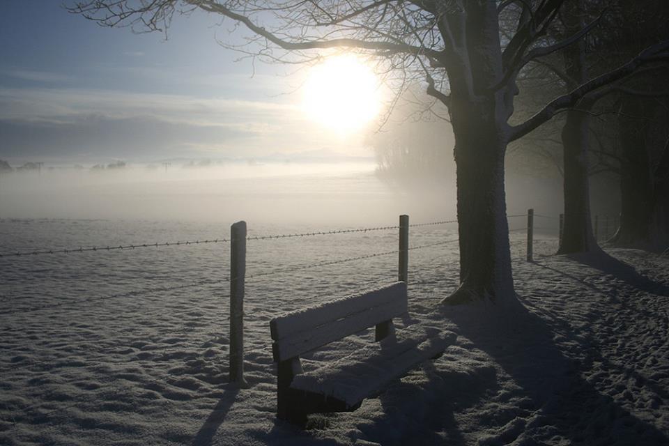 Steindlalleebank im Nebel Marcel(1).jpg