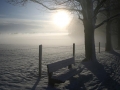 Steindlalleebank im Nebel Marcel(1).jpg