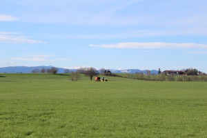 IMG_6843
